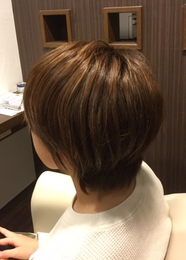 f:id:fsroom:20190401165528j:plain f:id:fsroom:20190401165528j:plain