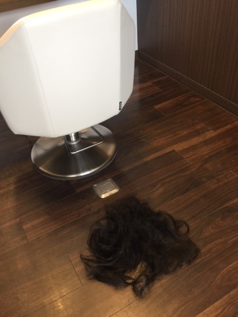 f:id:fsroom:20190404165312j:plain