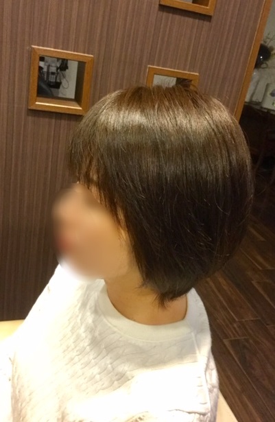 f:id:fsroom:20190415192409j:plain