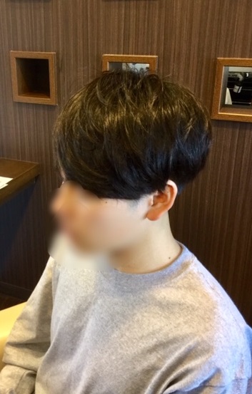 f:id:fsroom:20190523194122j:plain