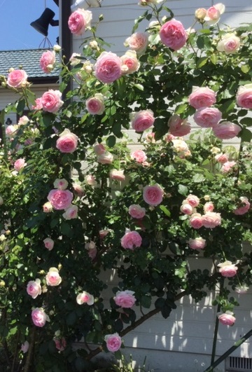 f:id:fsroom:20190607191452j:plain f:id:fsroom:20190607191452j:plain