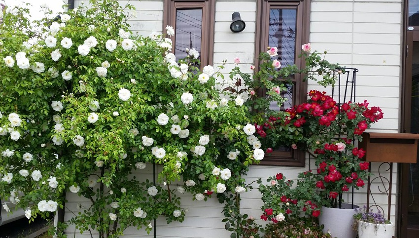 f:id:fsroom:20190607191533j:plain f:id:fsroom:20190607191533j:plain