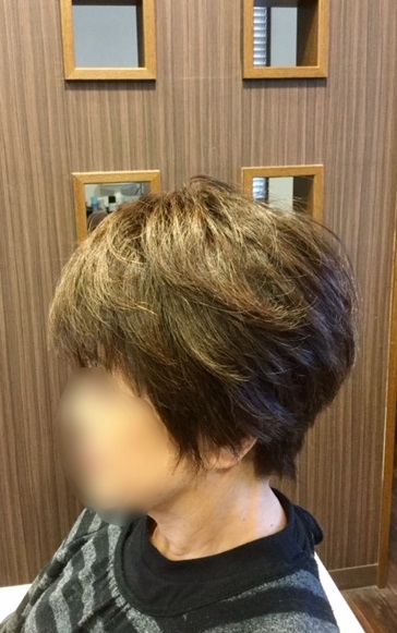 f:id:fsroom:20190624162155j:plain f:id:fsroom:20190624162155j:plain