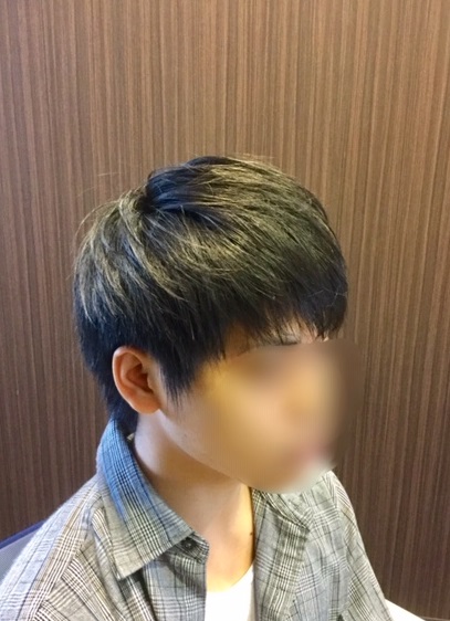 f:id:fsroom:20190721214129j:plain