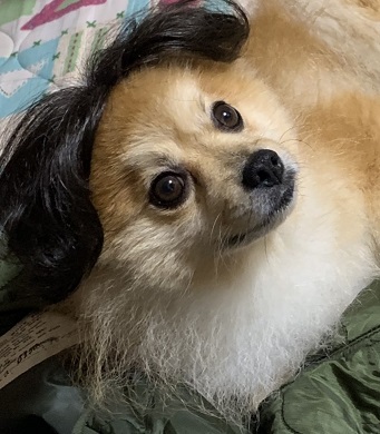 f:id:fsroom:20191114184357j:plain f:id:fsroom:20191114184357j:plain