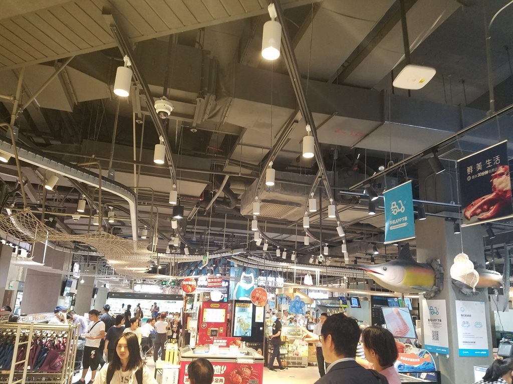 f:id:ft0220:20181110222859j:plain