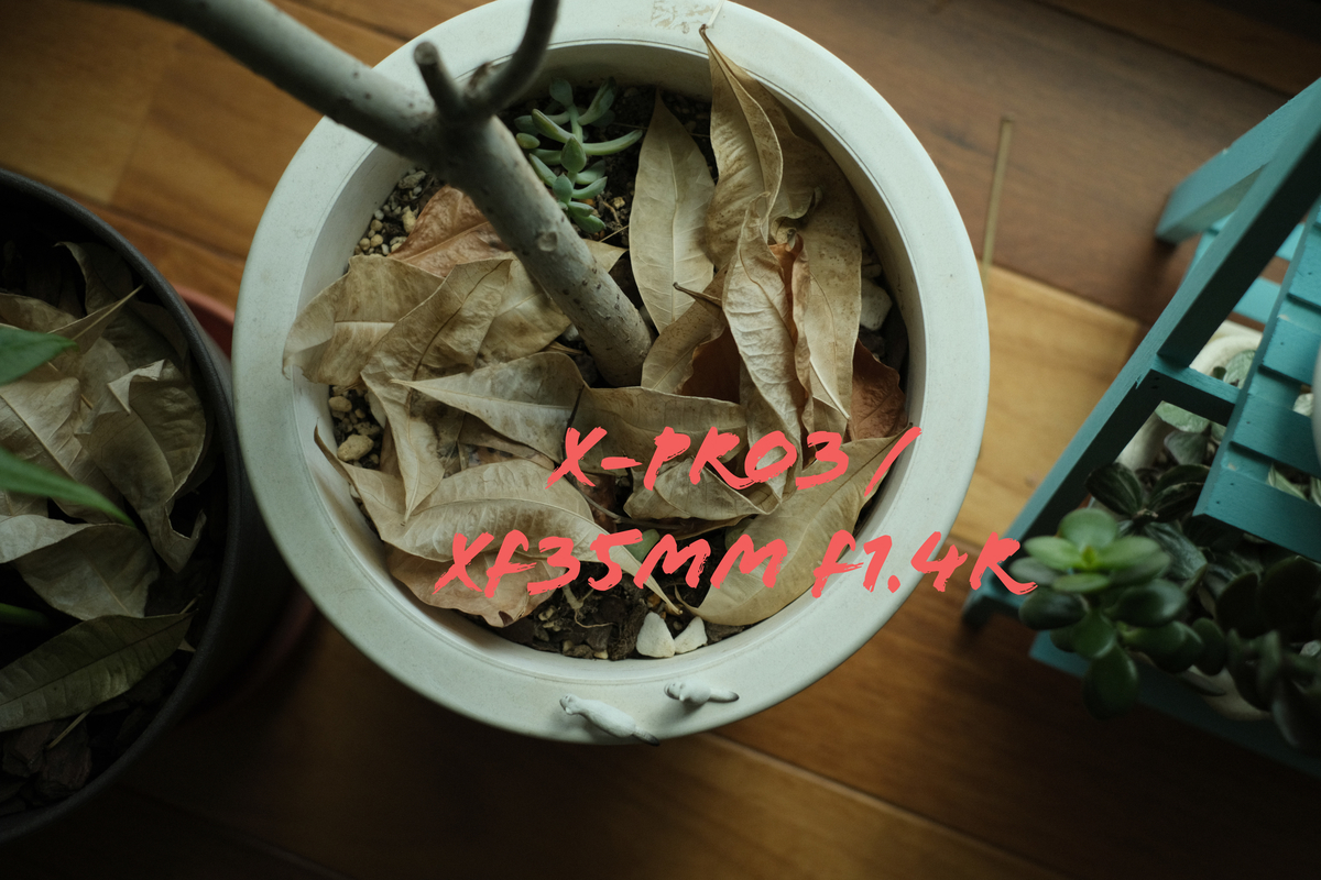 f:id:ftag:20210319113755j:plain