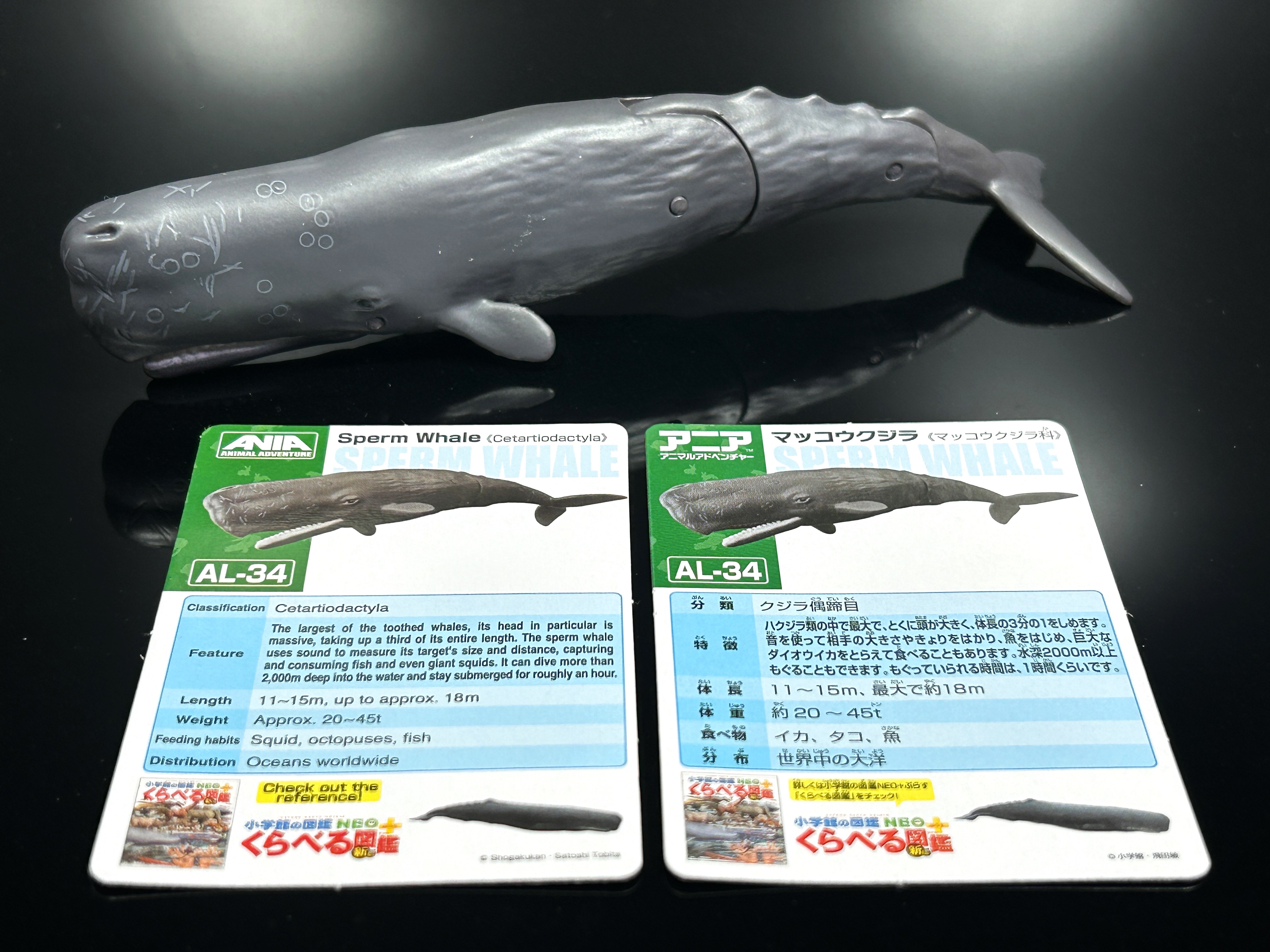 タカラトミー アニア ALｰ33 ダイオウイカ ＆ AL-34 マッコウクジラ