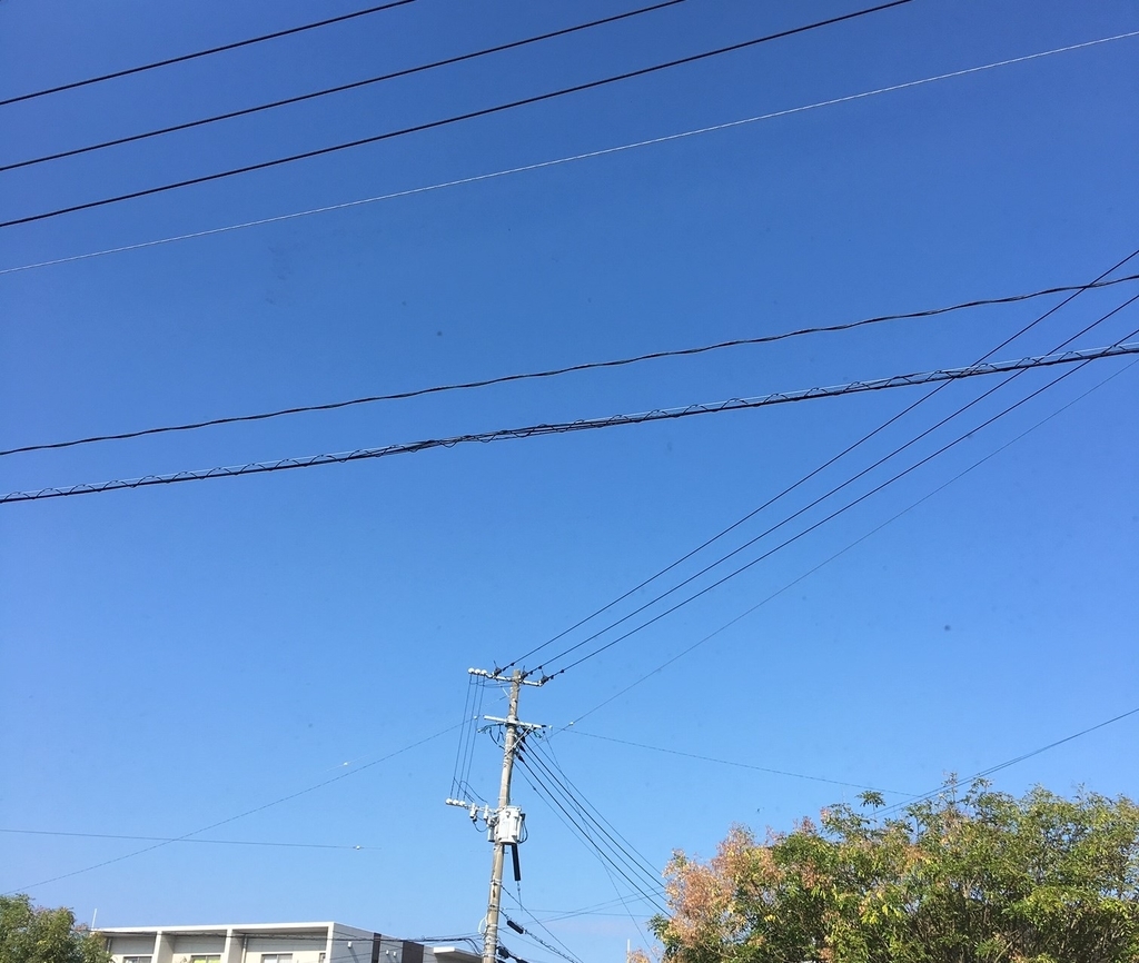 f:id:fu-bo:20181024100840j:plain f:id:fu-bo:20181024100840j:plain