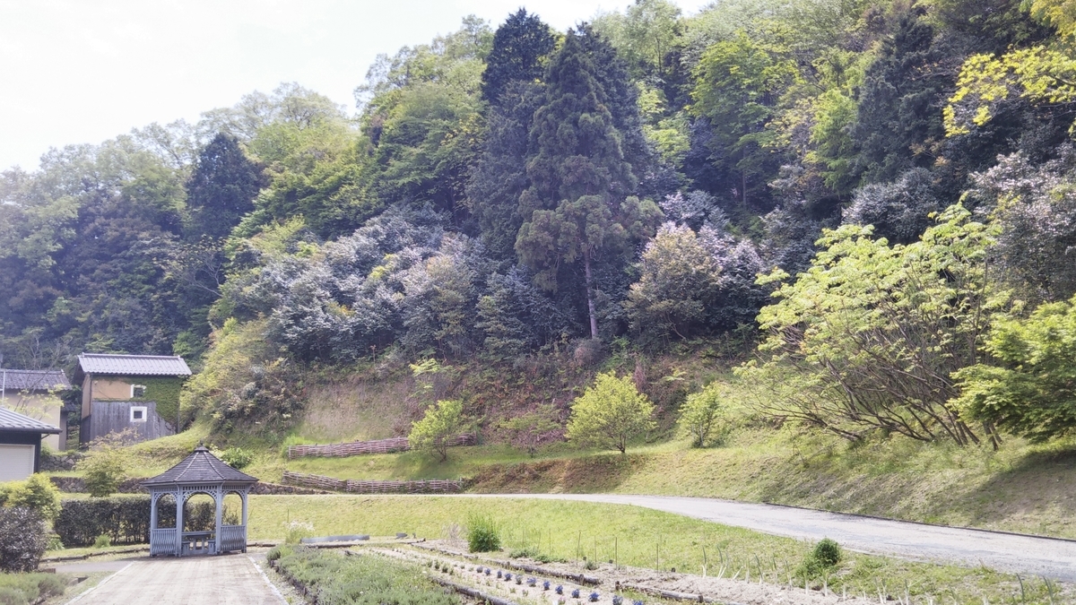 f:id:fu-ka-blue:20210504141414j:plain