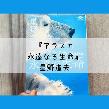 『アラスカ 永遠なる生命』星野道夫