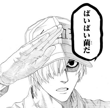 漫画 体内ではこんなに頑張っている はたらく細胞 １巻 つらつらげだんけ