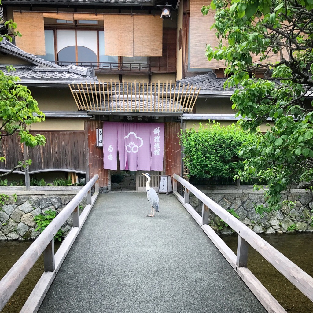 f:id:fu-wa:20180707170957j:plain f:id:fu-wa:20180707170957j:plain