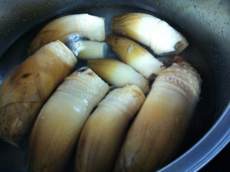 f:id:fu7mu4:20120331144824j:image