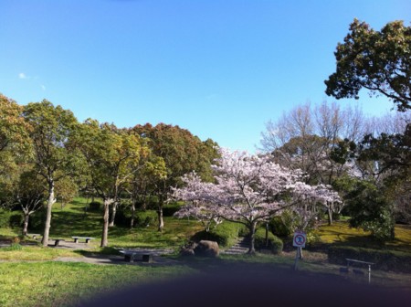 f:id:fu7mu4:20120414152721j:image