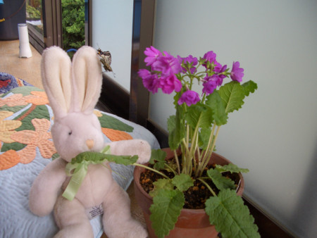 f:id:fu7mu4:20120512232250j:image