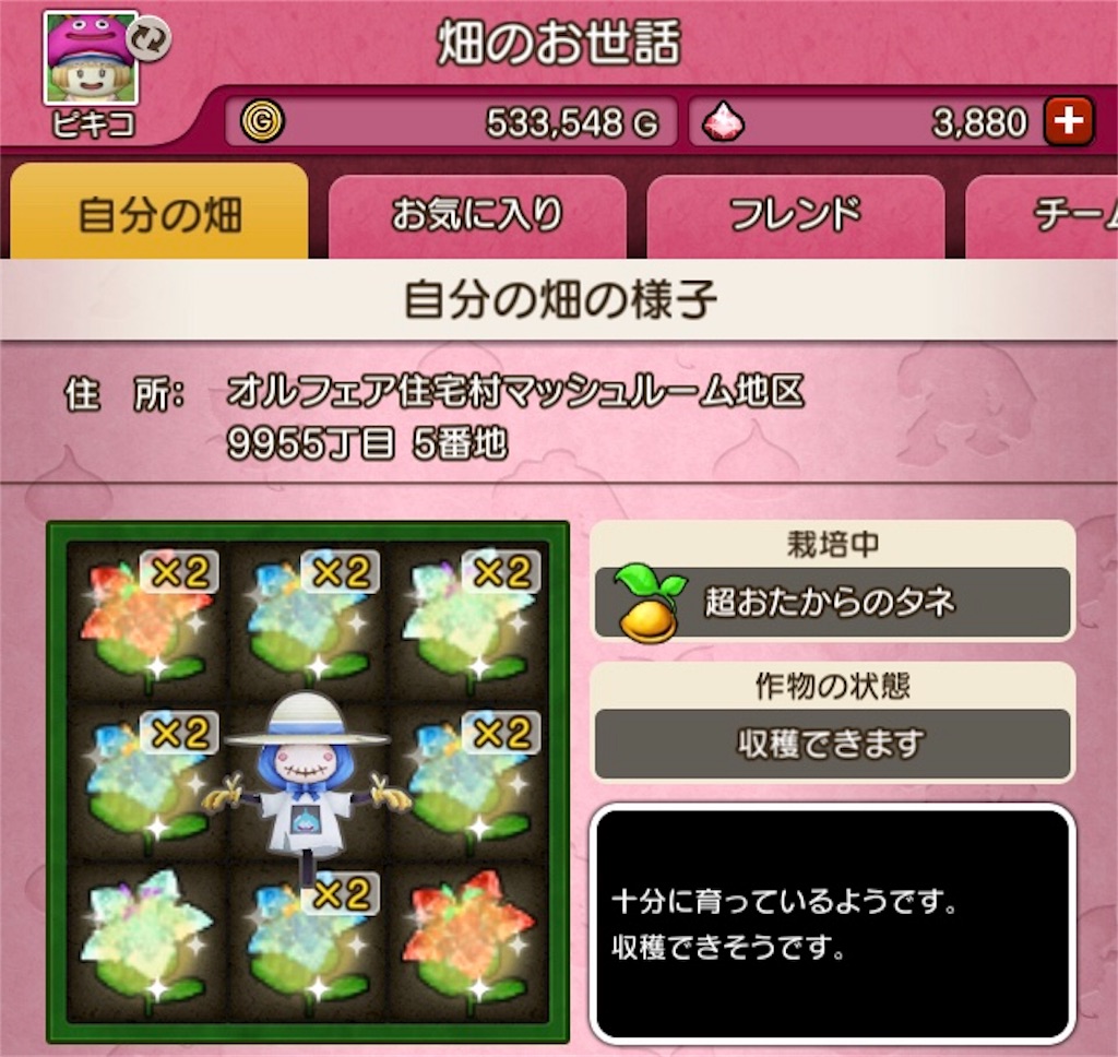 f:id:fu9biki:20190410165055j:image