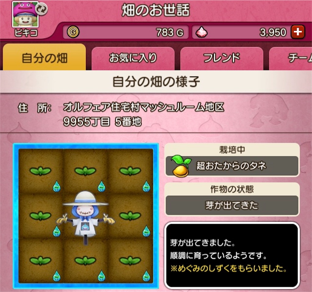 f:id:fu9biki:20190416182803j:image