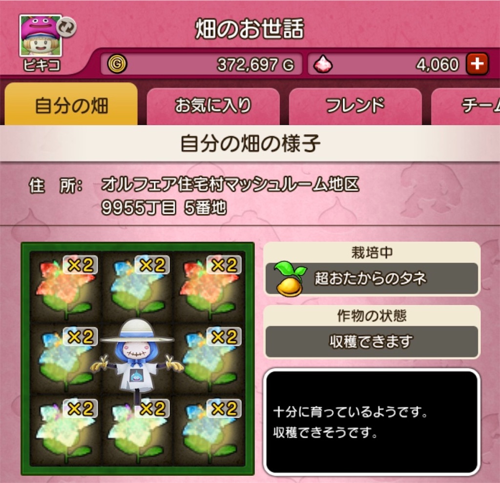 f:id:fu9biki:20190428193015j:image