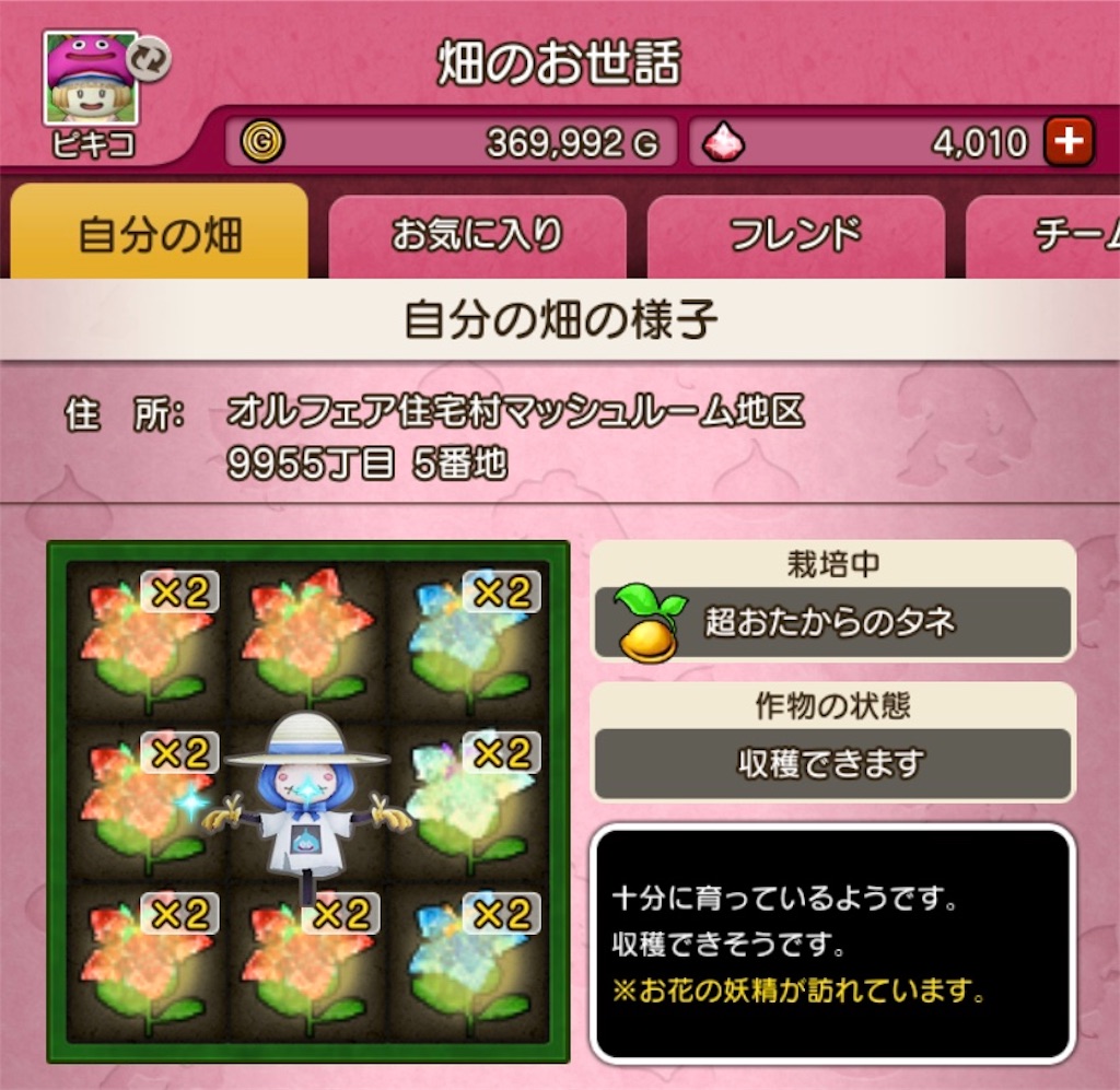 f:id:fu9biki:20190515193630j:image