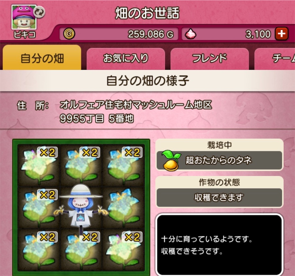 f:id:fu9biki:20190605163531j:image