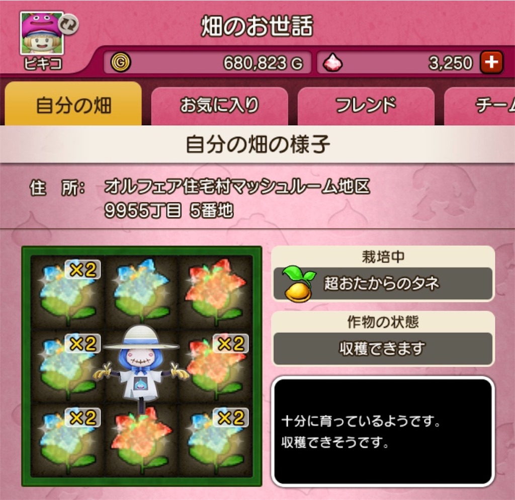 f:id:fu9biki:20190620184000j:image