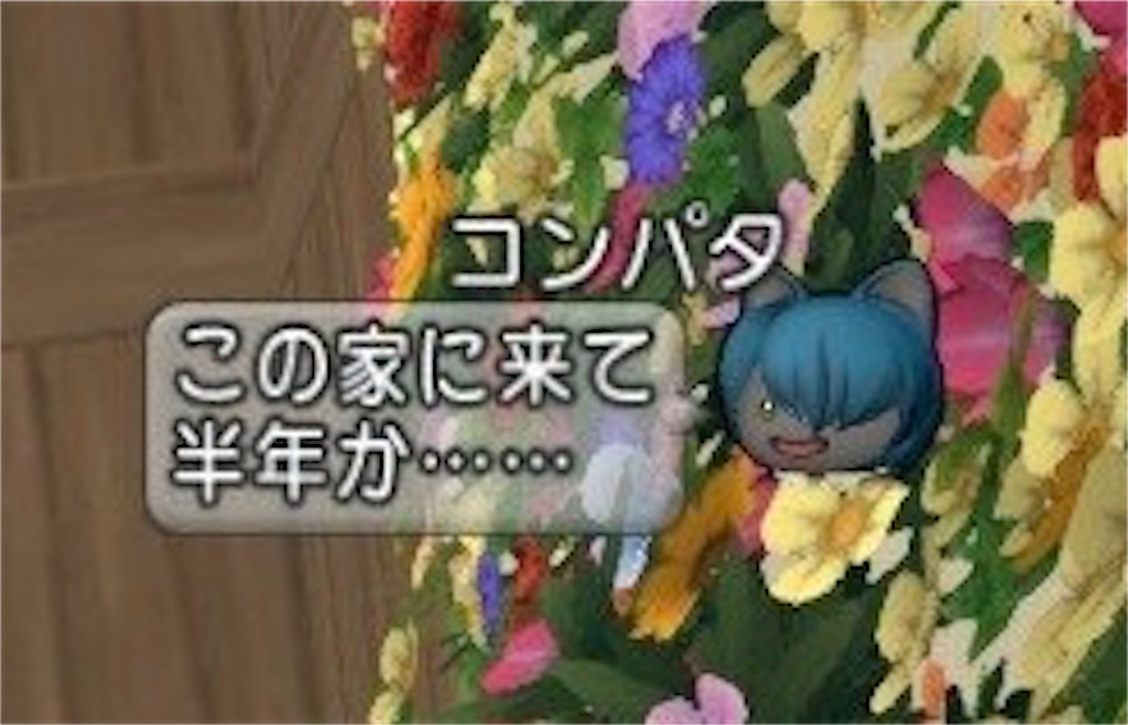 f:id:fu9biki:20191006203117j:image