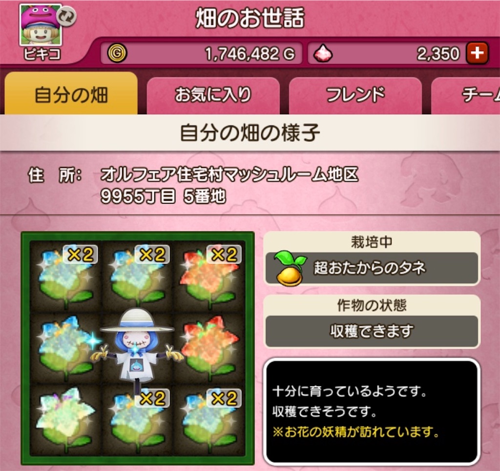 f:id:fu9biki:20191020195042j:image