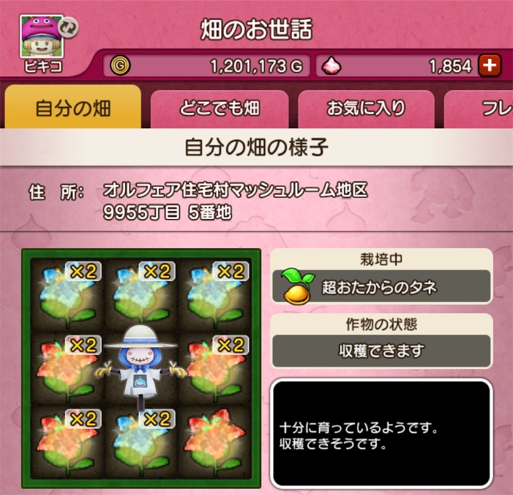 f:id:fu9biki:20200202202423j:image