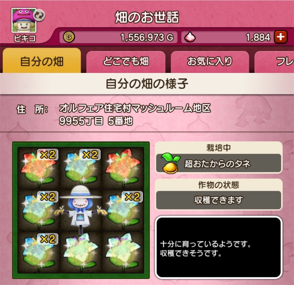 f:id:fu9biki:20200209200727j:image
