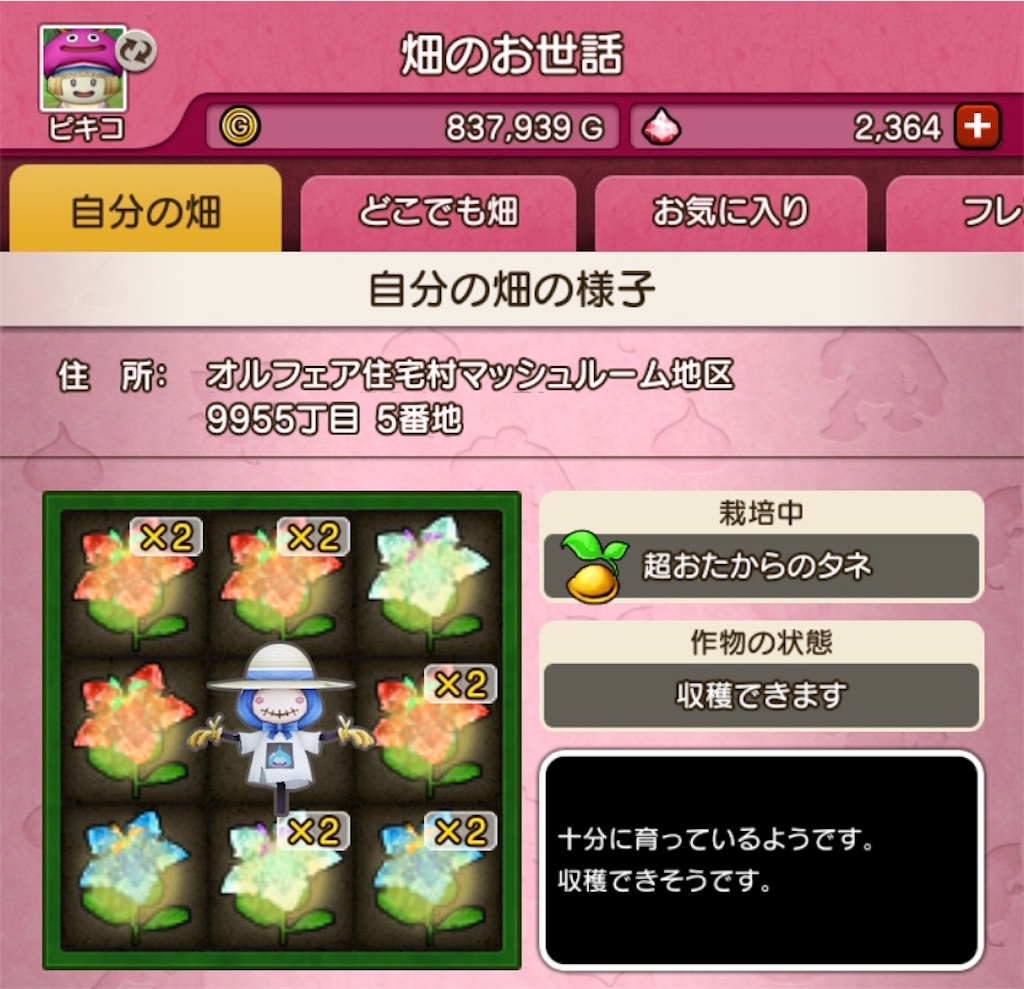 f:id:fu9biki:20200405200429j:image