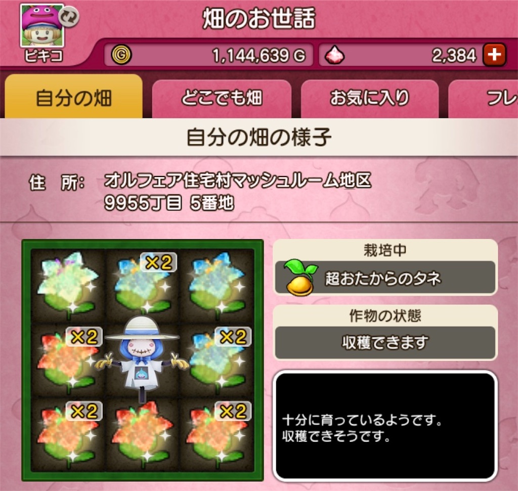 f:id:fu9biki:20200412203143j:image