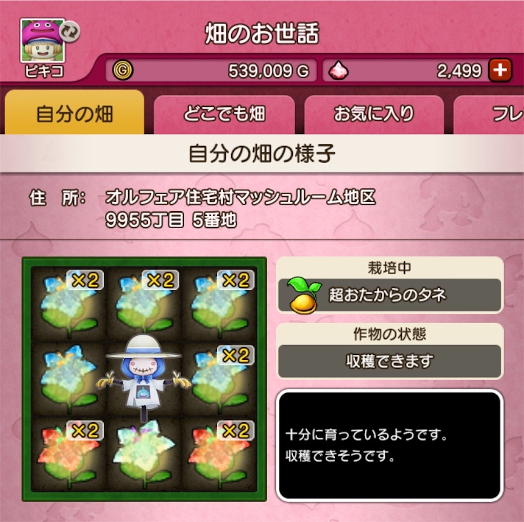 f:id:fu9biki:20200505174043j:image
