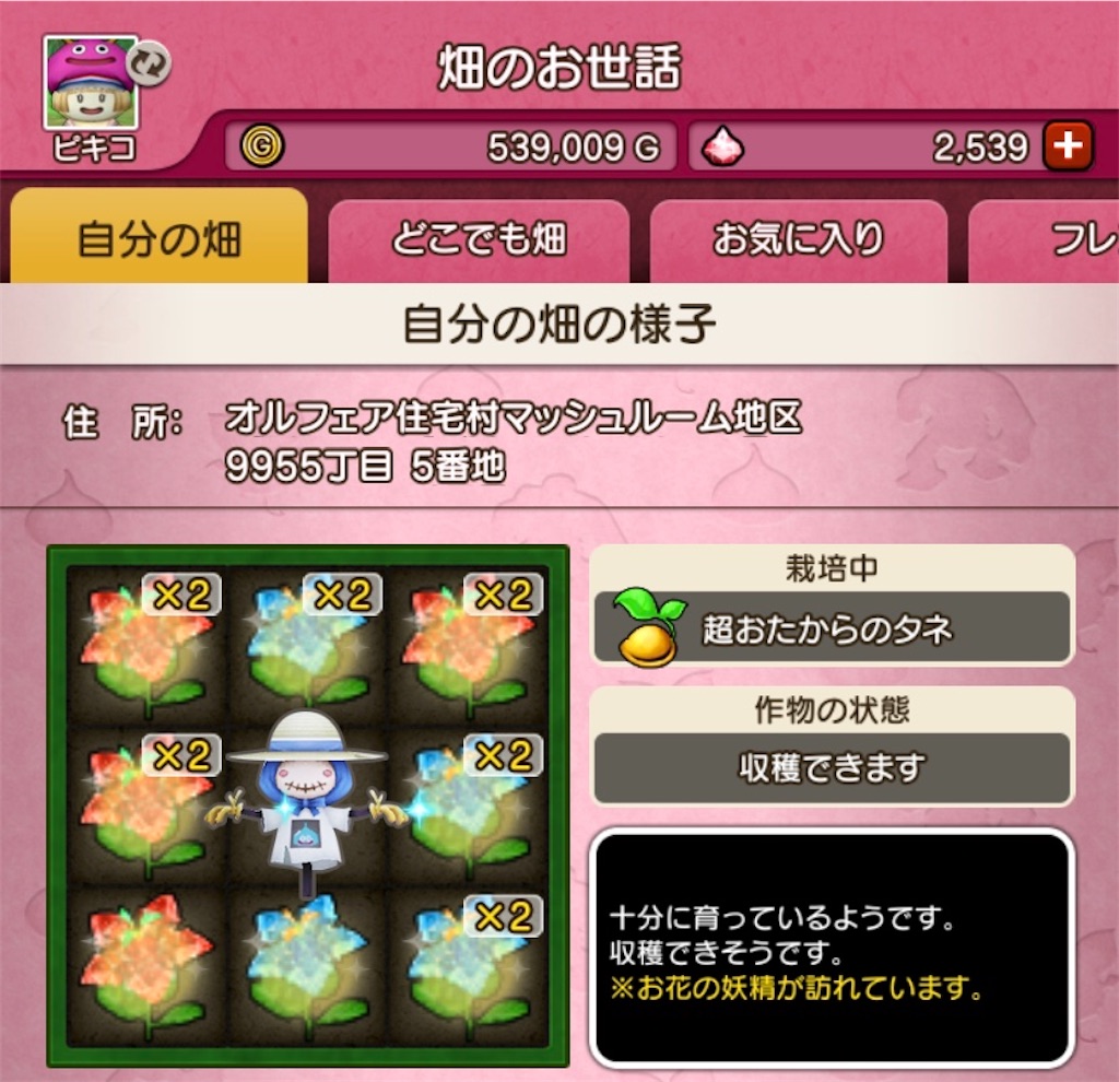 f:id:fu9biki:20200510180807j:image