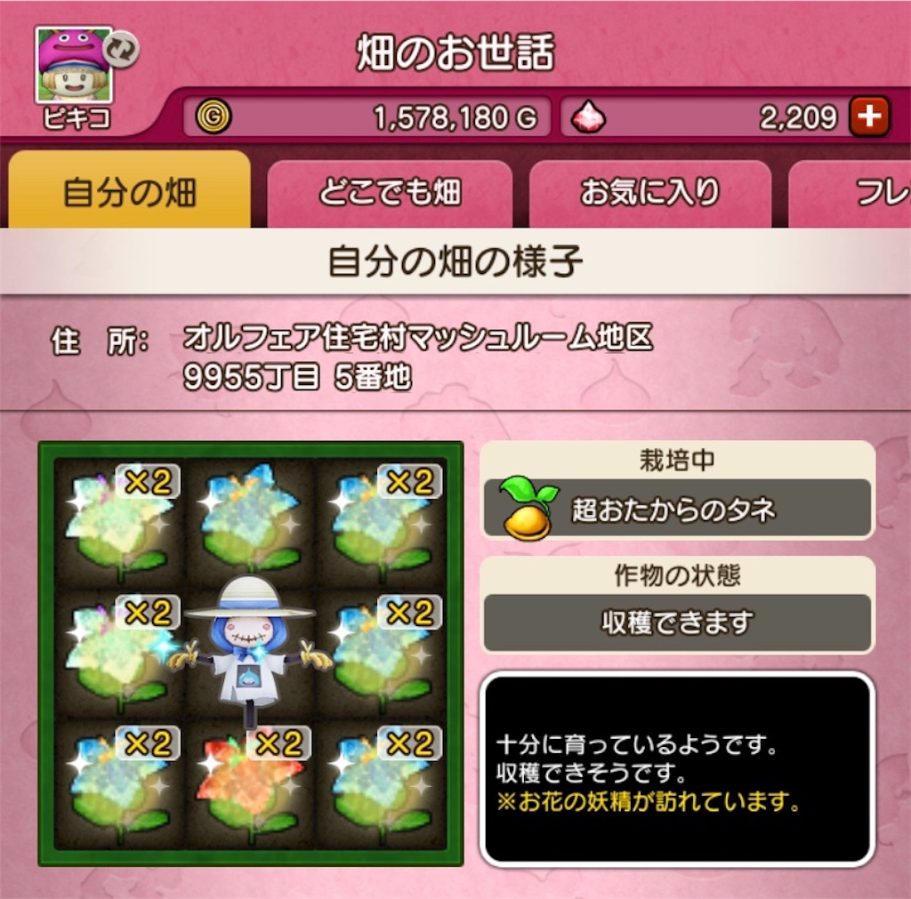 f:id:fu9biki:20200531210523j:image
