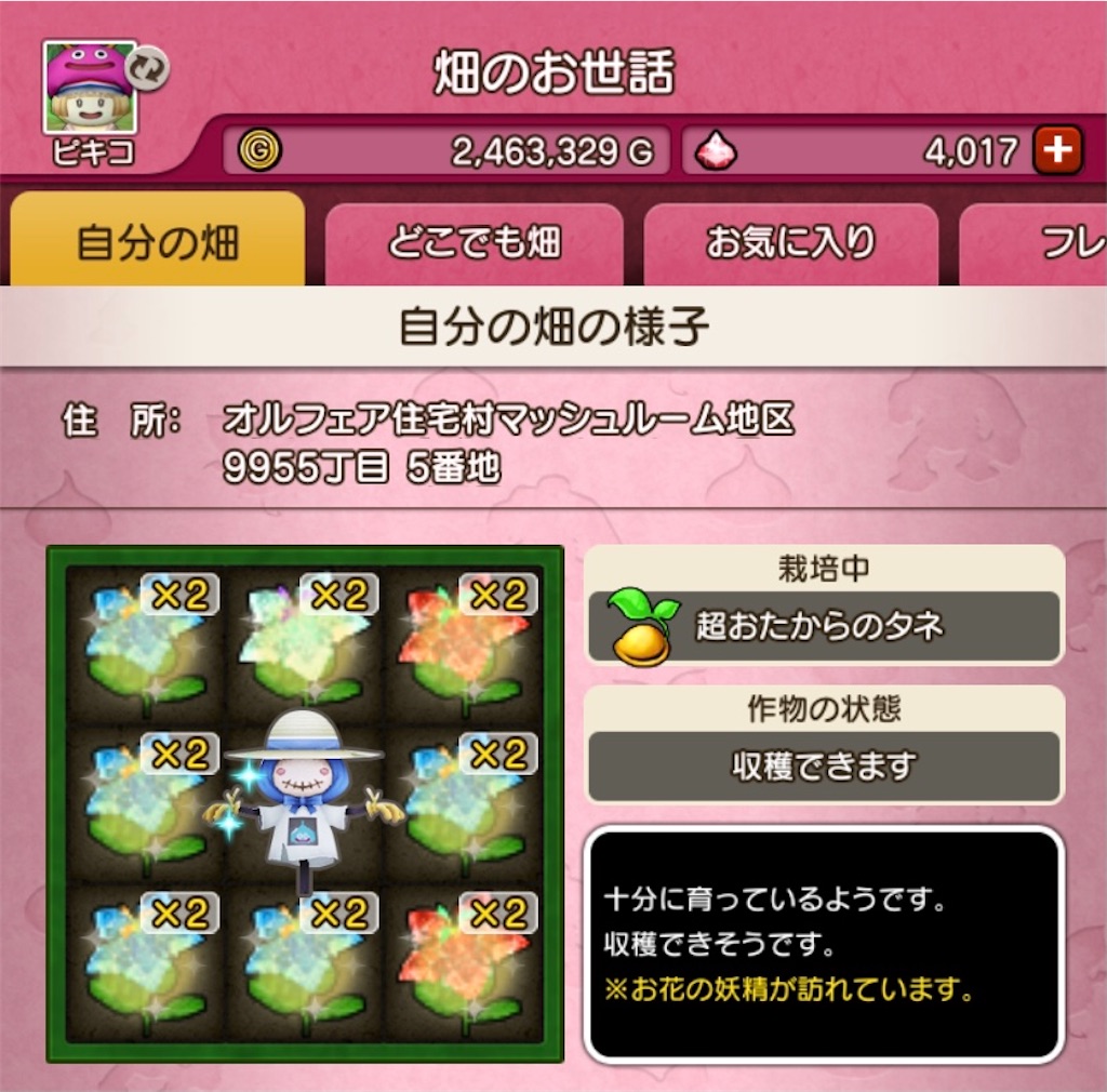 f:id:fu9biki:20201215212544j:image