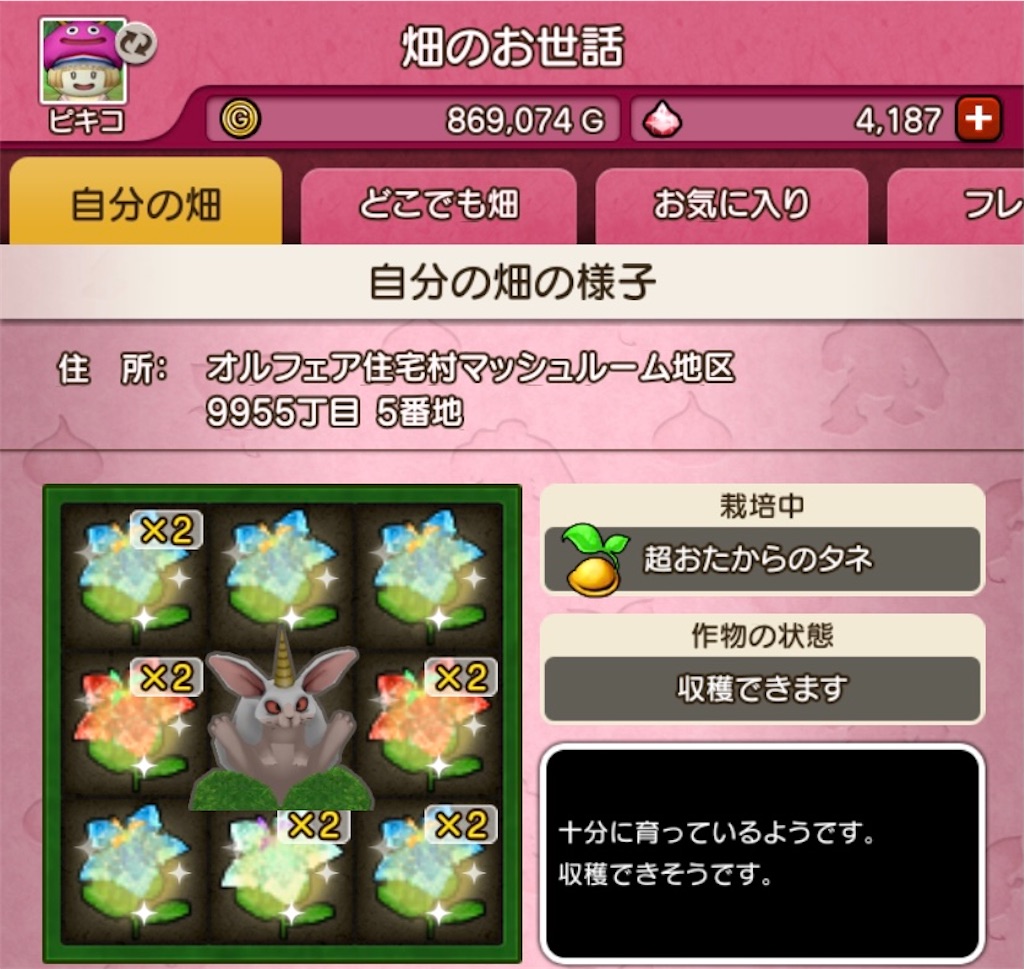 f:id:fu9biki:20210228214411j:image