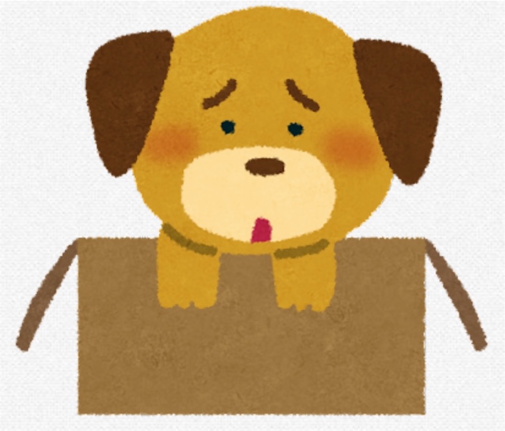 f:id:fu9biki:20230214134747j:image f:id:fu9biki:20230214134747j:image