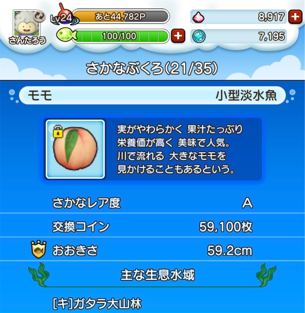 f:id:fu9biki:20240517215442j:image