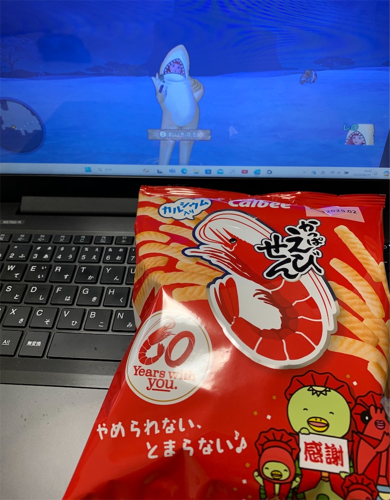 f:id:fu9biki:20240902122009j:image