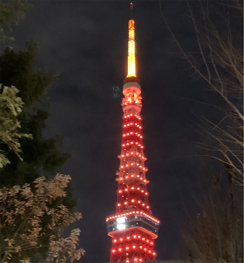 f:id:fu9biki:20241227232600j:image