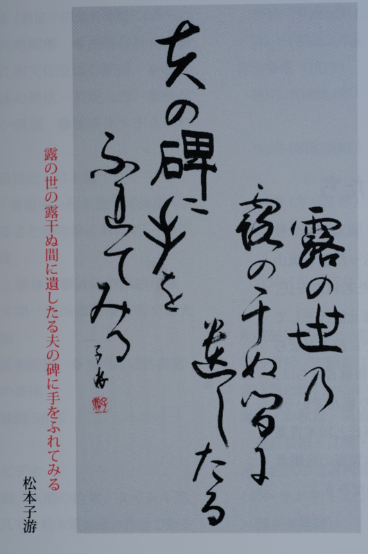 f:id:fuaki:20130520154134j:image