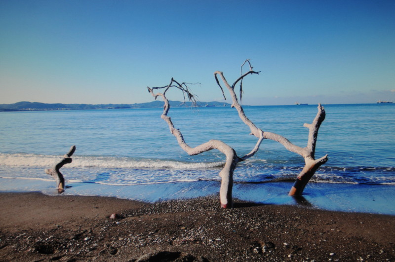 f:id:fuaki:20141212101614j:image