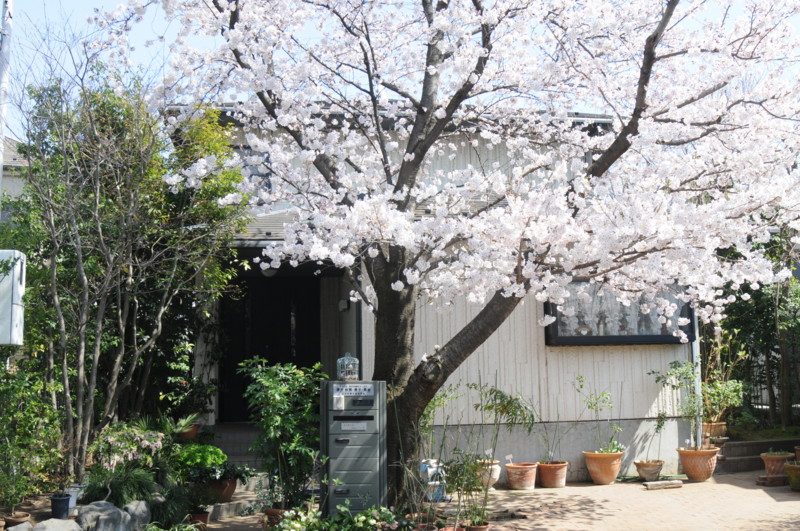 f:id:fuaki:20150331130752j:image