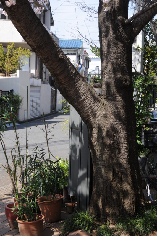 f:id:fuaki:20150331130925j:image