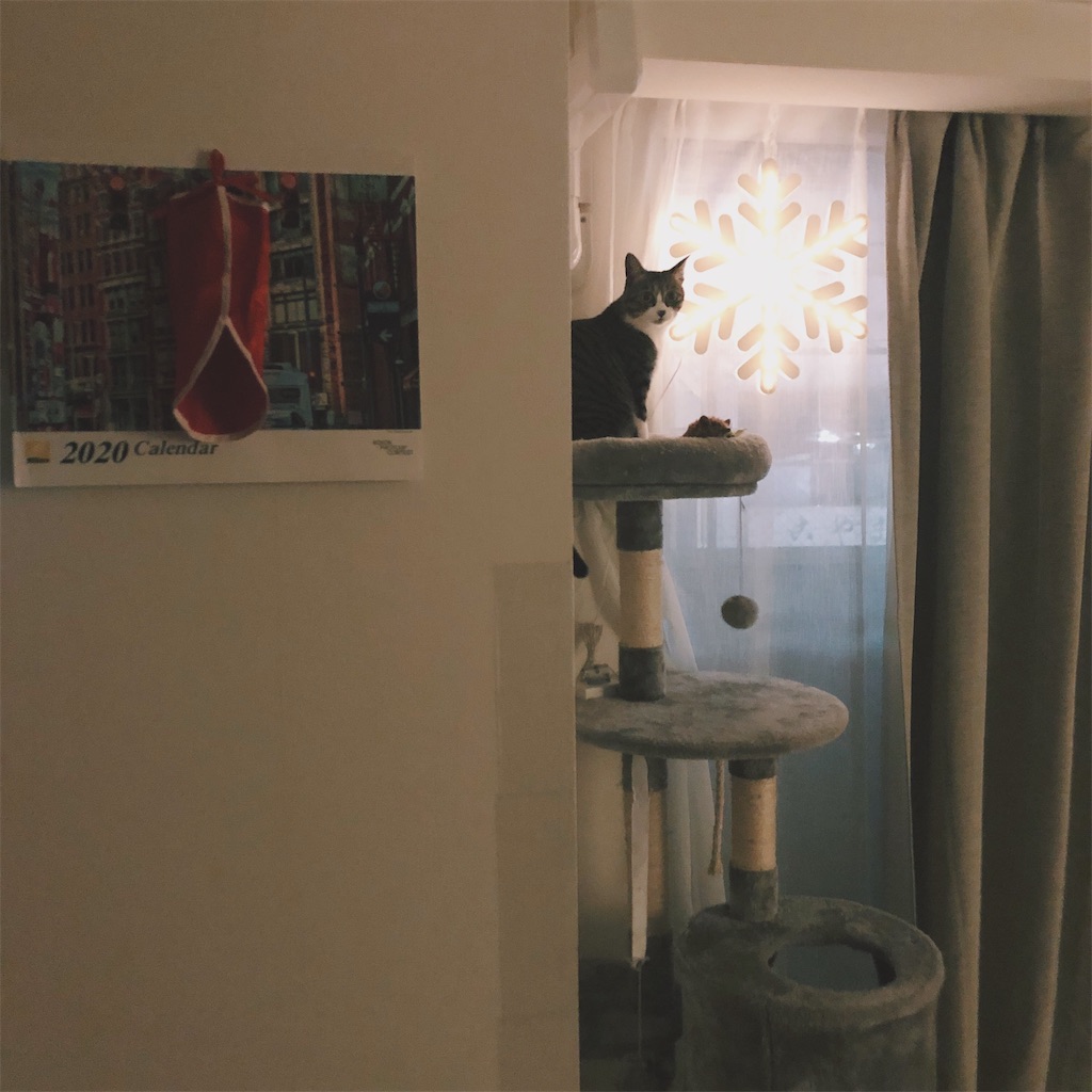 f:id:fuashang:20191224223044j:image f:id:fuashang:20191224223044j:image
