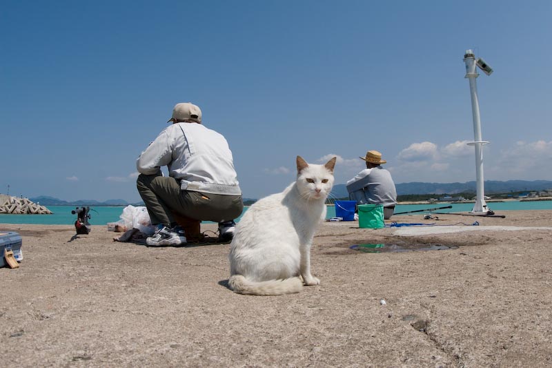 f:id:fubirai:20070628001139j:image
