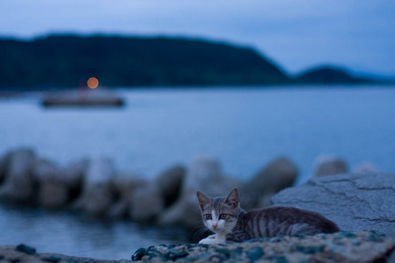 f:id:fubirai:20071115221659j:image