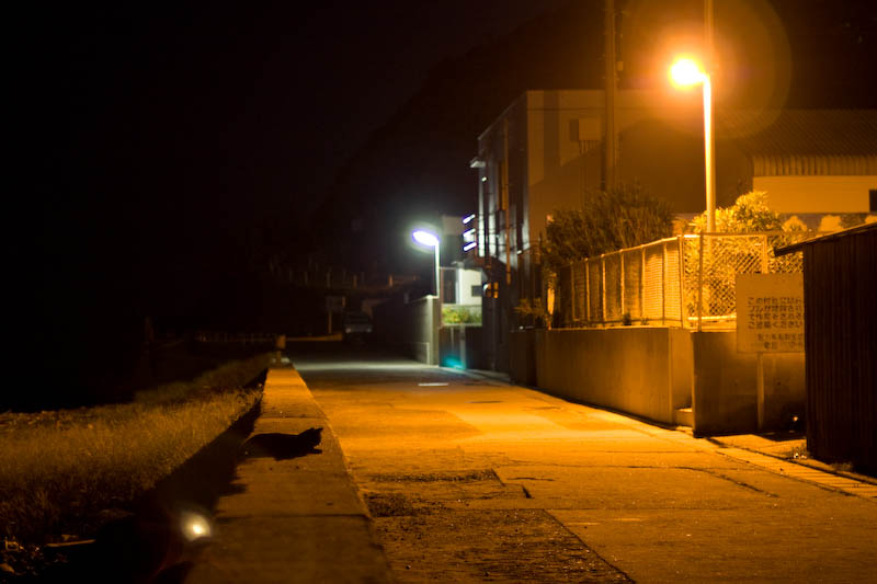 f:id:fubirai:20071115221724j:image