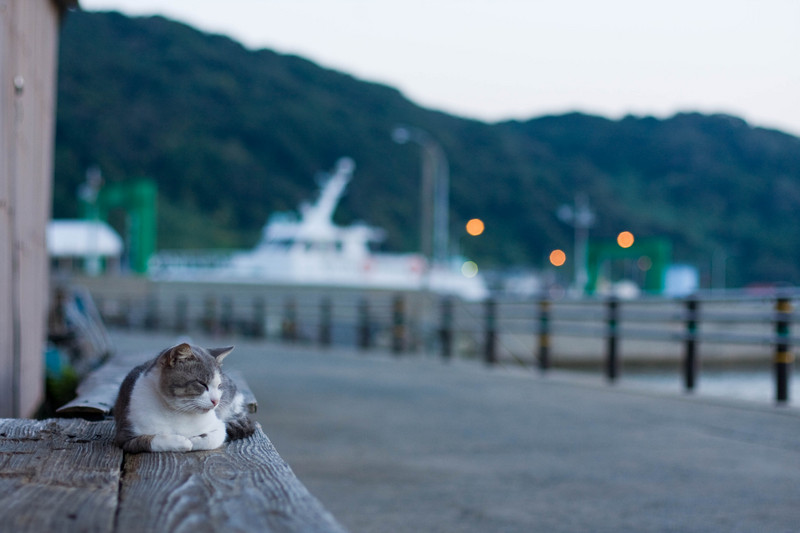f:id:fubirai:20071117224652j:image